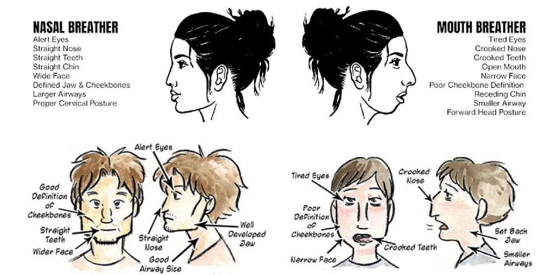 Mouth Breathing Evolution